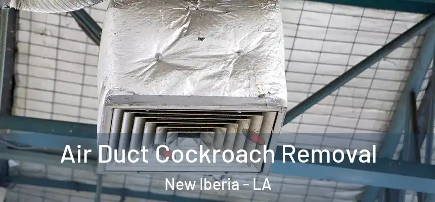 Air Duct Cockroach Removal New Iberia - LA