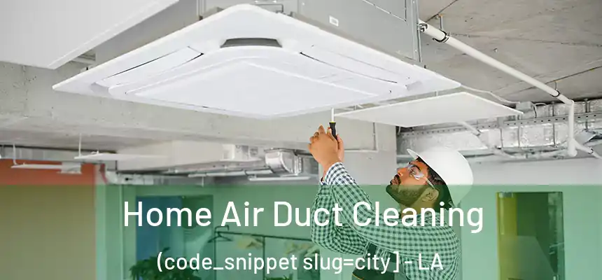  Home Air Duct Cleaning (code_snippet slug=city] - LA