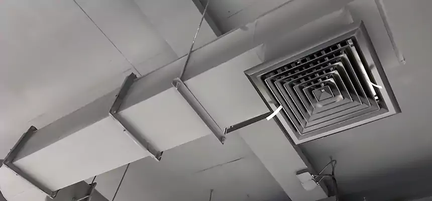 Our Pest Removal From Ducts Services in New Iberia, LA