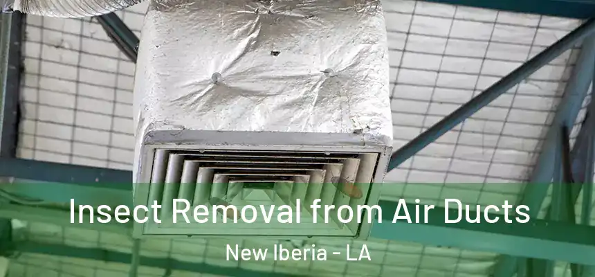 Insect Removal from Air Ducts New Iberia - LA