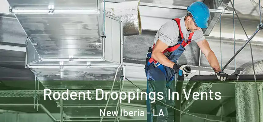  Rodent Droppings In Vents New Iberia - LA