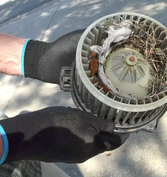 About Air Duct Mice Removal in New Iberia, LA