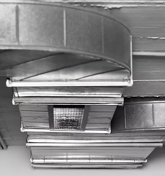 Professional Air Duct Pet Hair Removal in New Iberia, LA