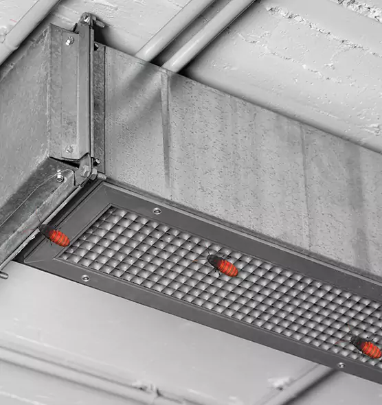 Affordable Insect Removal from Air Ducts in New Iberia, LA