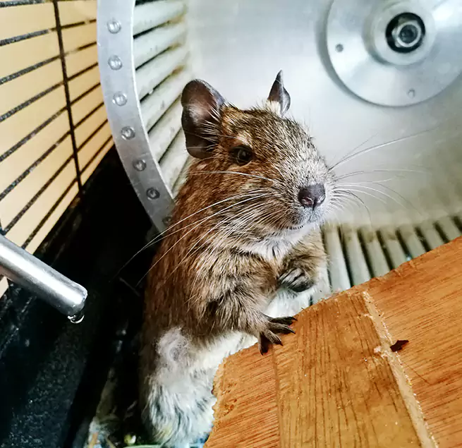 Why Homeowners & Businesses Trust Us New Iberia, LA