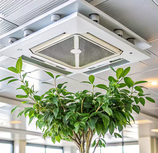 Why Homeowners & Businesses Trust Us in New Iberia, LA