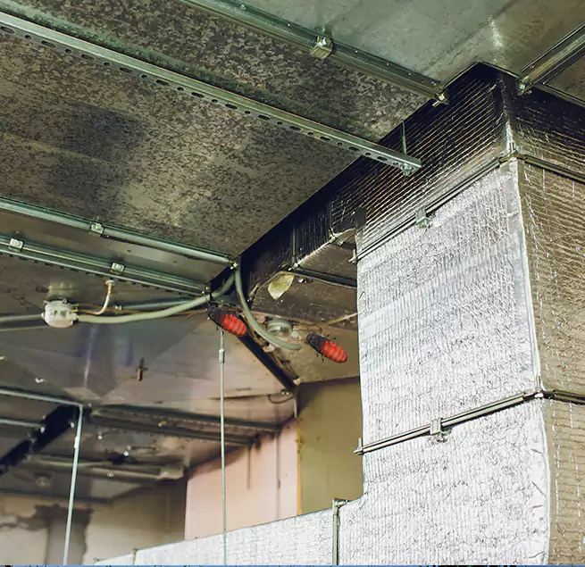 Why Homeowners & Businesses Trust Us New Iberia, LA?